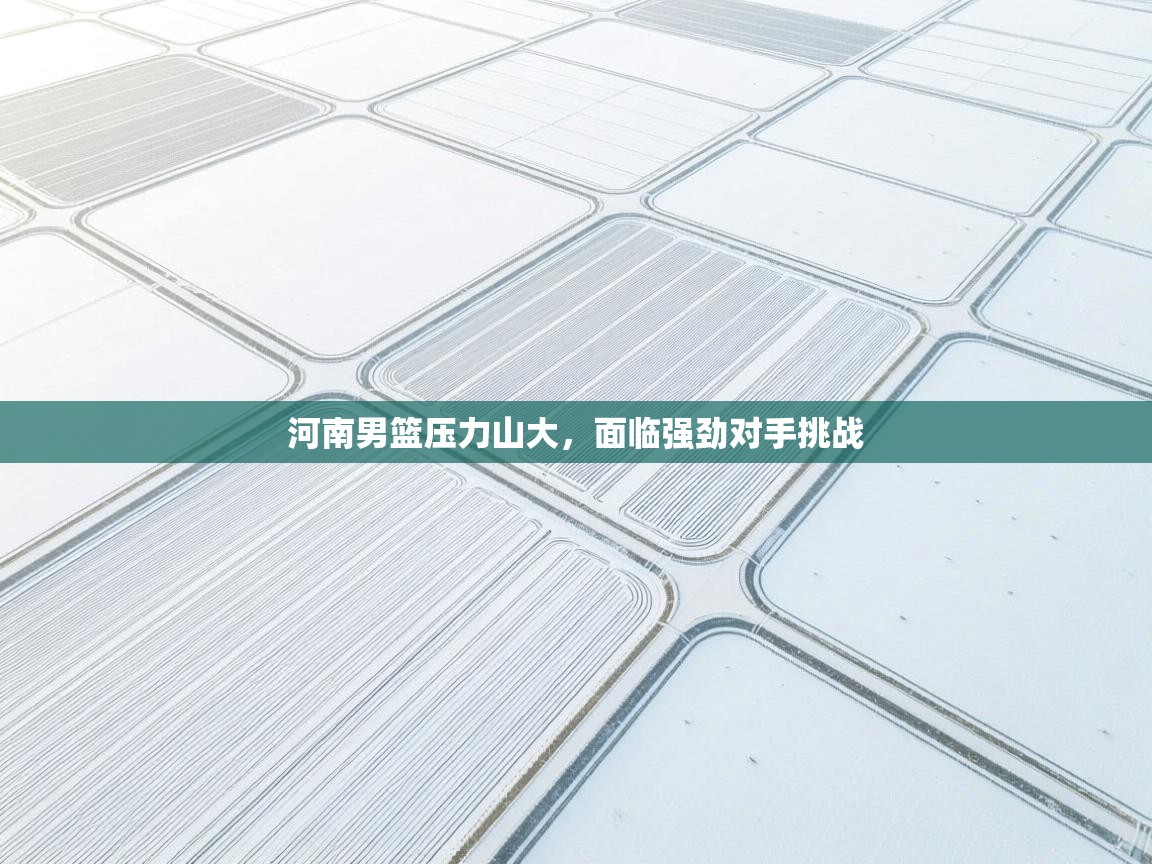 河南男篮压力山大，面临强劲对手挑战  第1张