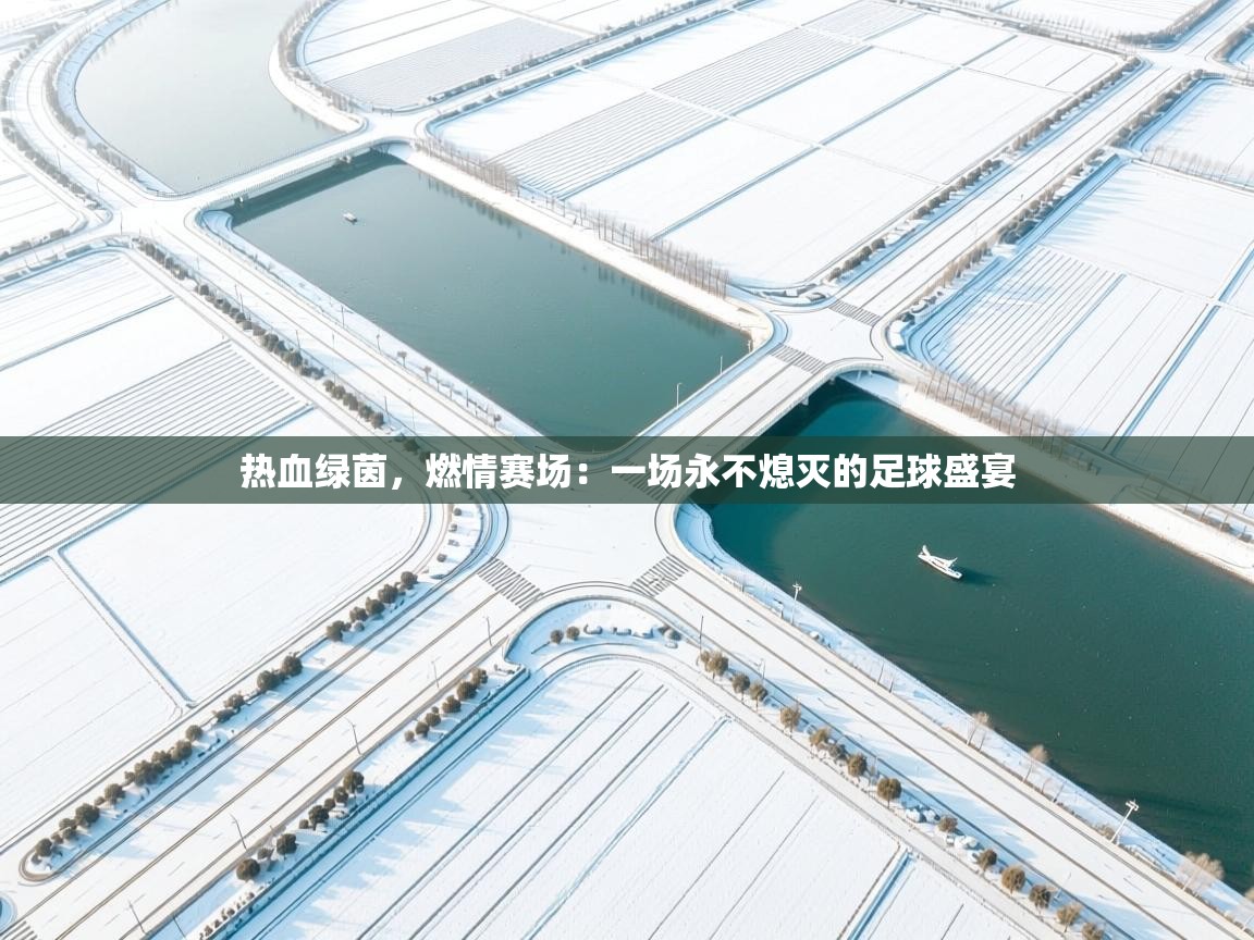 热血绿茵,燃情赛场:一场永不熄灭的足球盛宴 第1张