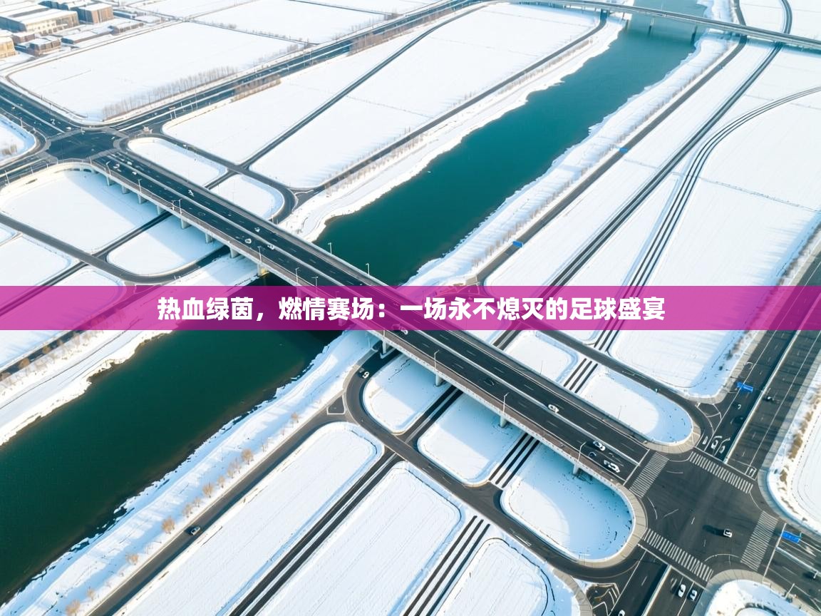 热血绿茵,燃情赛场:一场永不熄灭的足球盛宴 第2张